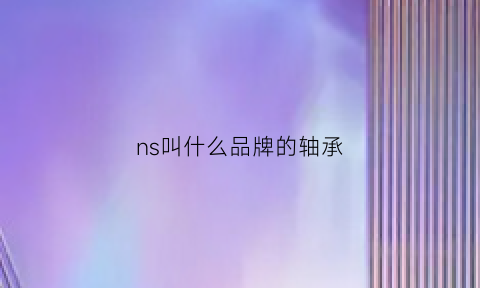 ns叫什么品牌的轴承