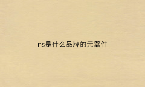 ns是什么品牌的元器件(ns是哪个国家的品牌)