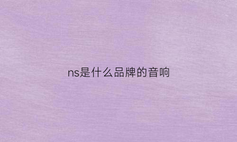 ns是什么品牌的音响(ns是哪个国家的品牌)