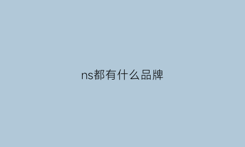 ns都有什么品牌