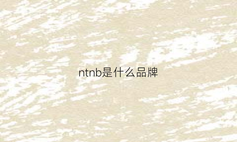 ntnb是什么品牌