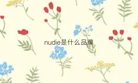 nudie是什么品牌(nudiejeansco)