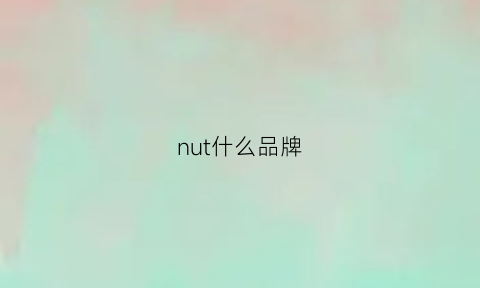 nut什么品牌(nuts什么牌子)