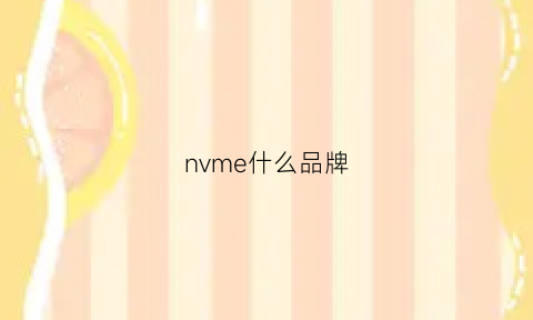 nvme什么品牌(nvm是什么品牌)