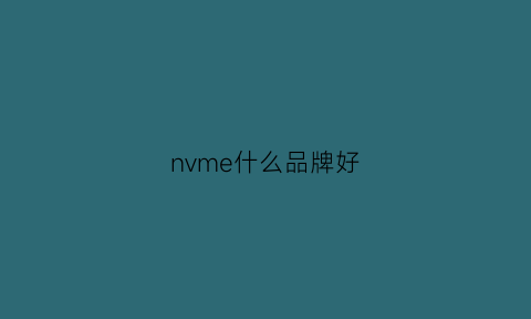 nvme什么品牌好