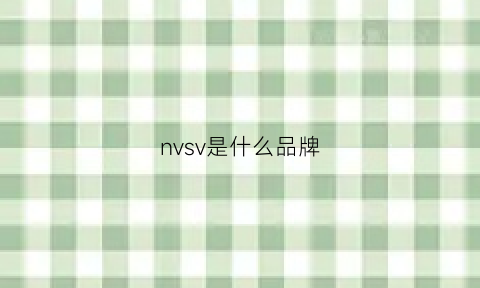 nvsv是什么品牌(nvh是什么牌子)