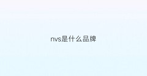 nvs是什么品牌(nvvv是什么牌子)