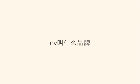 nv叫什么品牌