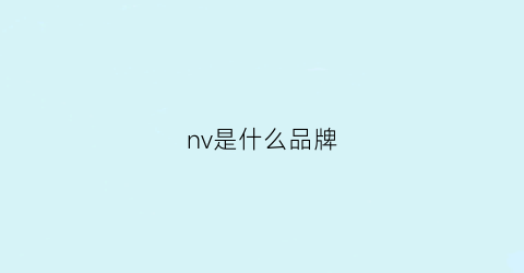 nv是什么品牌(nvsv是什么品牌)