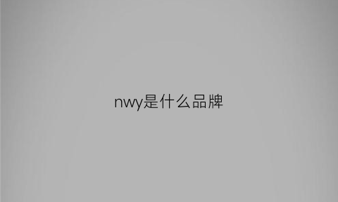 nwy是什么品牌(nw是什么牌子)