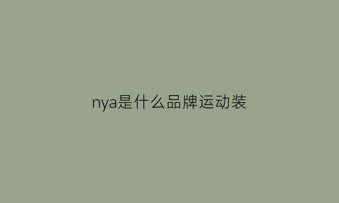 nya是什么品牌运动装(n是什么运动品牌)