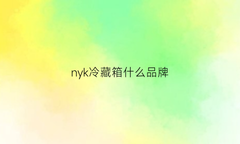 nyk冷藏箱什么品牌