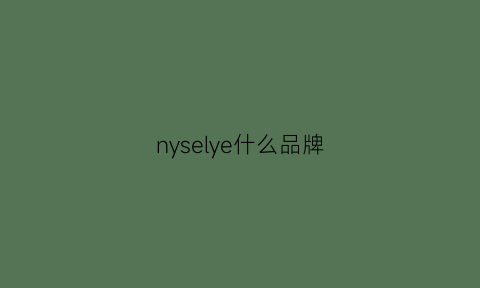 nyselye什么品牌