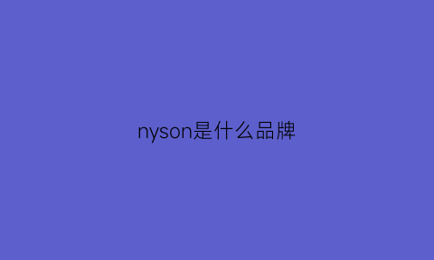 nyson是什么品牌(nyoni是什么牌子)