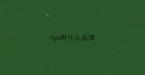 nyx有什么品牌(ny品牌是什么档次)