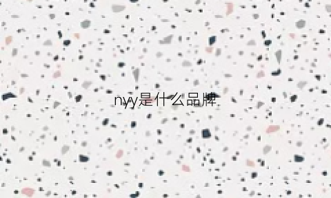 nyy是什么品牌(ny是一个什么牌子)