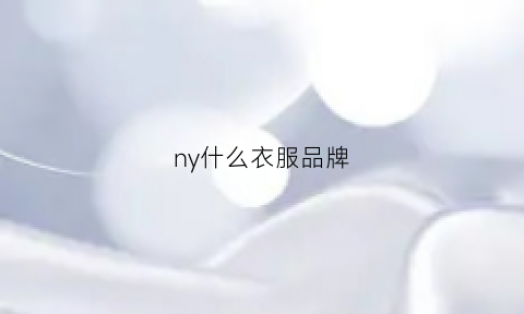 ny什么衣服品牌