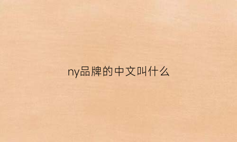 ny品牌的中文叫什么(ny什么牌子中文名)