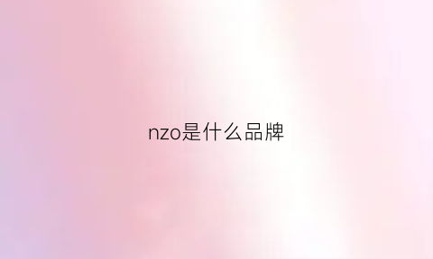 nzo是什么品牌(nzg是什么品牌)