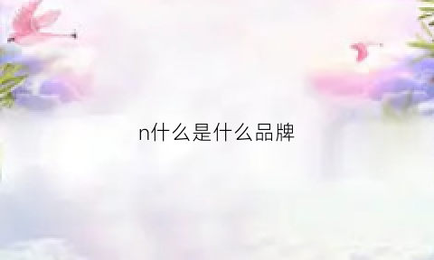 n什么是什么品牌(n字母是什么品牌)