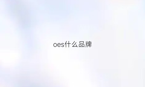 oes什么品牌(otzshoes什么品牌)