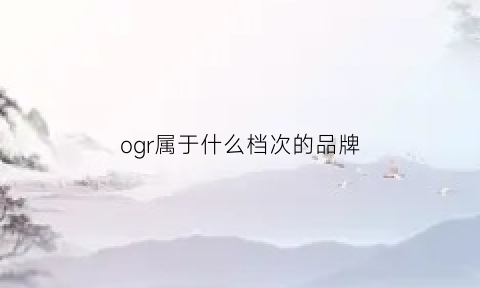 ogr属于什么档次的品牌(og牌子的衣服)