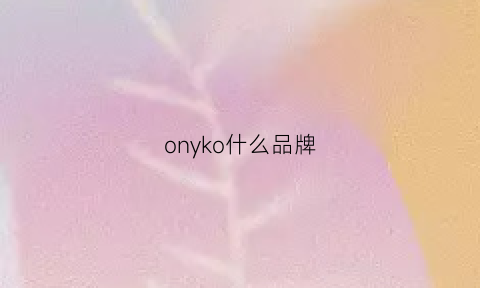 onyko什么品牌(onke什么品牌)