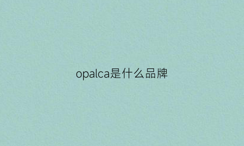 opalca是什么品牌(opaqueclip是什么牌子)