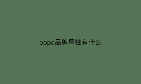 oppo品牌属性有什么(oppo品牌属性有什么区别)