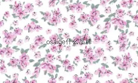 osaige什么品牌(osaige女装什么档次)