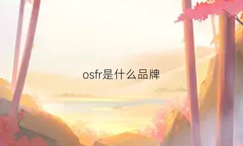 osfr是什么品牌(osmc是什么牌子)