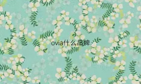 ovia什么品牌(ovicx是什么牌子)