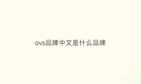 ovs品牌中文是什么品牌(ovs是什么档次)