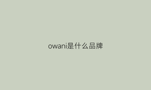 owani是什么品牌(owon是什么牌子)