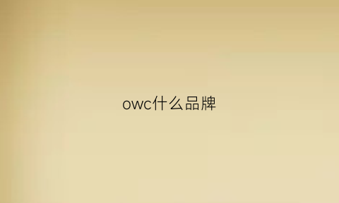 owc什么品牌(ow品牌中文叫什么)