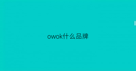 owok什么品牌(owool是什么牌子)