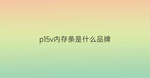 p15v内存条是什么品牌