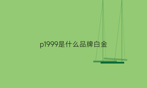 p1999是什么品牌白金