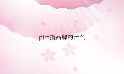 p1m指品牌的什么(p1是什么品牌)