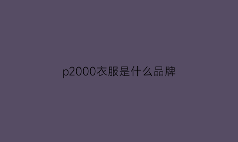 p2000衣服是什么品牌(h200是什么牌子衣服)