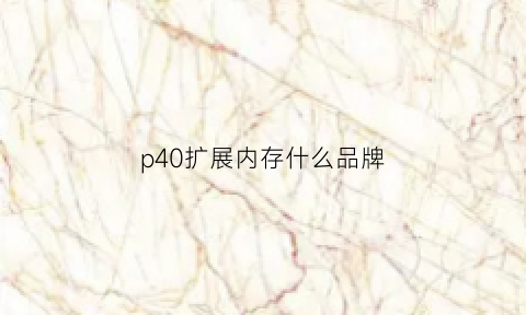 p40扩展内存什么品牌(p40扩展存储)