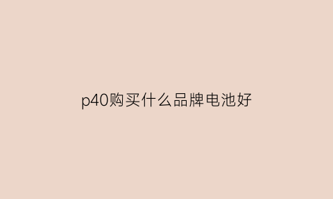 p40购买什么品牌电池好(p40的电池耐用吗)