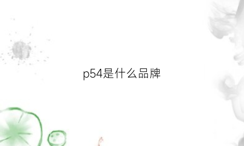 p54是什么品牌(pa54是什么)