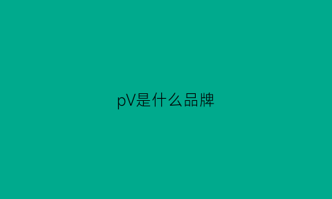 pV是什么品牌(pv是什么产品)