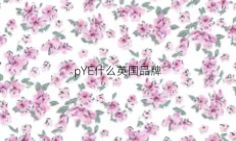 pYE什么英国品牌