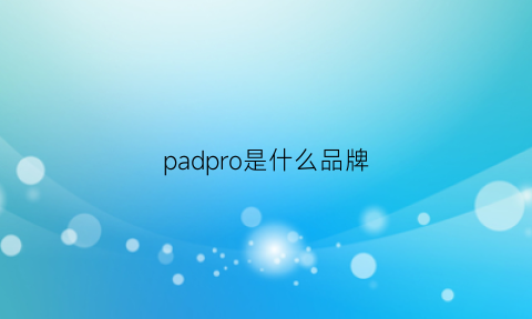 padpro是什么品牌(pro是什么牌子)