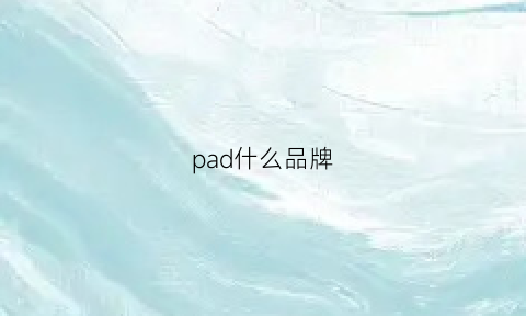 pad什么品牌(ipad是哪个牌子)