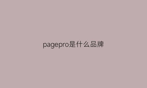 pagepro是什么品牌(pageone是什么牌子)