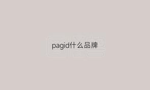 pagid什么品牌(paragon是什么牌子)