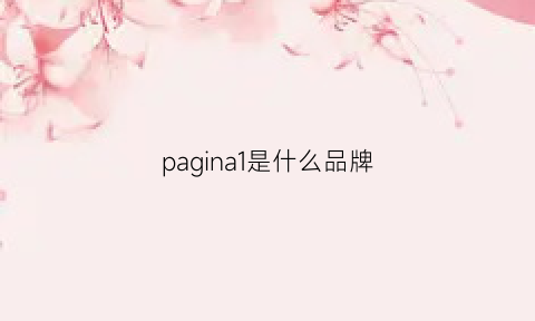 pagina1是什么品牌(pag是什么牌子)